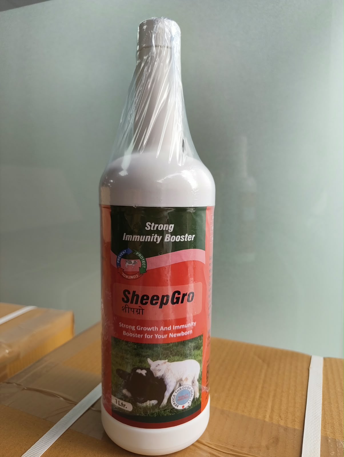 SHEEP GROW