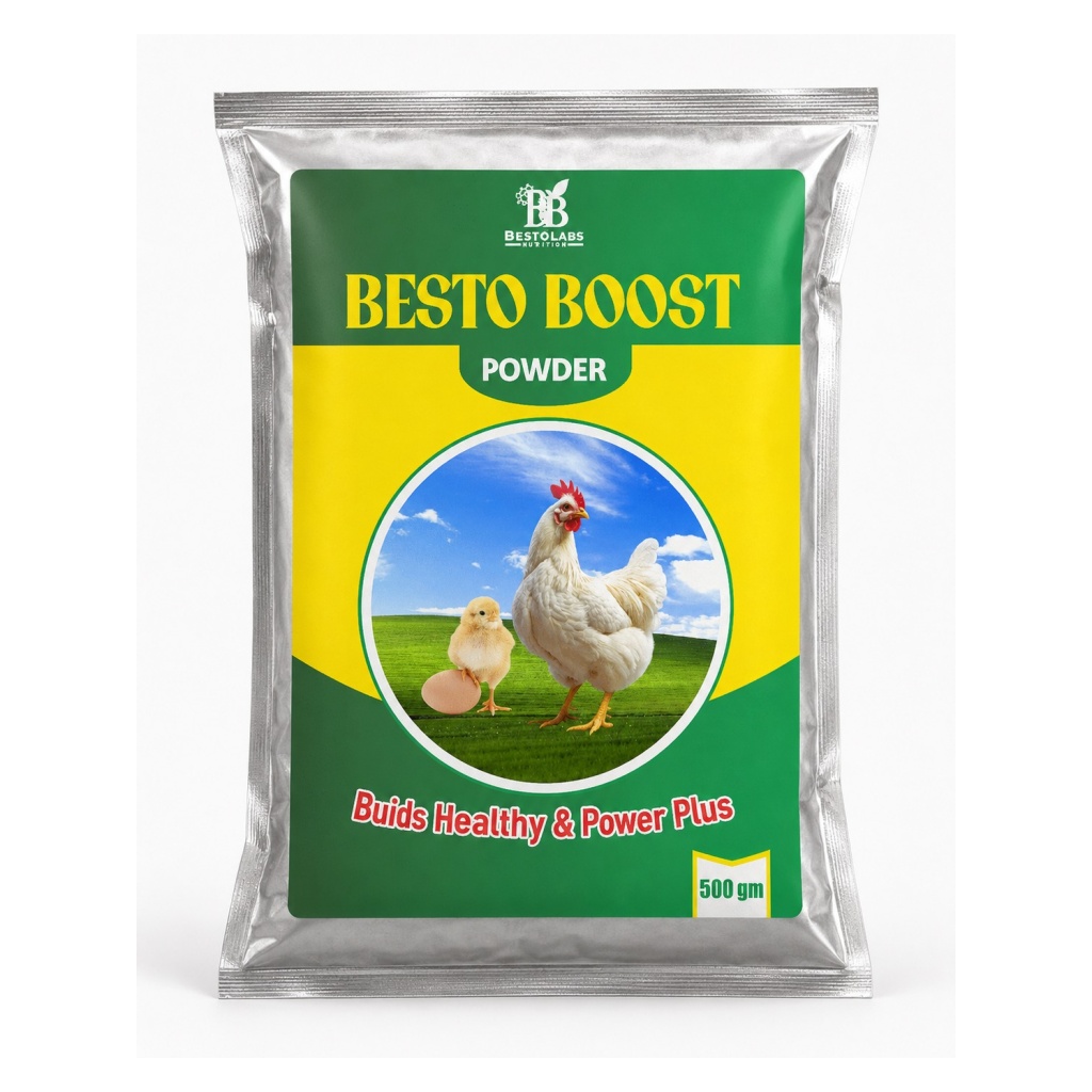Besto Boost Powder